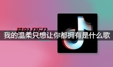 抖音我的温柔只想让你都拥有是什么歌