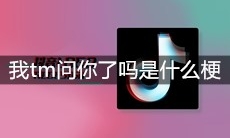 抖音我tm问你了吗是什么梗
