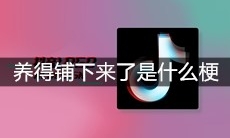 抖音养得铺下来了是什么梗