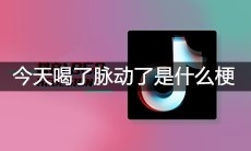 抖音今天喝了脉动了吃了果冻还是忍不住对你心动是什么梗