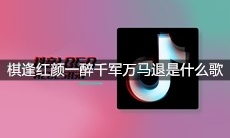 抖音棋逢红颜一醉千军万马退剪不断理还乱哽咽锁清喉是什么歌