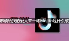 抖音麻烦给我的爱人来一杯Mojito是什么歌