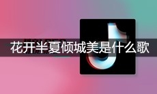 抖音花开半夏倾城美瑶台月下笑婆娑是什么歌