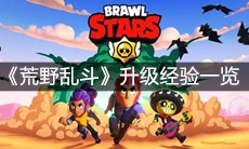 《荒野乱斗》升级经验一览