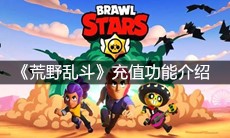 《荒野乱斗》充值功能介绍