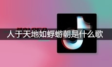抖音人于天地如蜉蝣朝暮行乐及时务莫笑此生是什么歌