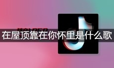 抖音在屋顶靠在你怀里喝着啤酒我们一起数星星是什么歌