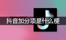 抖音加分项是什么梗