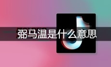抖音弼马温是什么意思