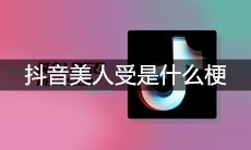 抖音美人受是什么梗