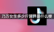 乃万女生多少斤算胖是什么梗