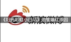 大张伟《阳光彩虹小白马》油管爆红原因