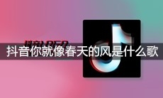 抖音你就像春天的风夏天的雨是什么歌