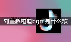 抖音刘皇叔蹦迪bgm是什么歌