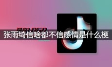 张雨绮信啥都不信感情是什么梗