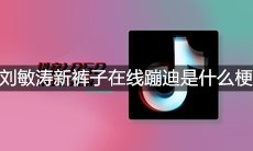 刘敏涛新裤子在线蹦迪是什么梗