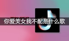 抖音你爱美女我不配是什么歌