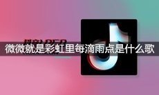 抖音微微就是彩虹里每滴雨点是什么歌