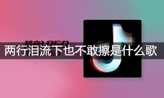 抖音两行泪流下也不敢擦你是握不住的沙是什么歌