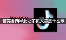 抖音苦笑各两半此处不见人善是什么歌