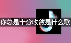 抖音你总是十分收敛保留着天真一点是什么歌