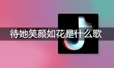 抖音待她笑颜如花笔墨山河入画是什么歌