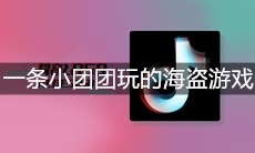 抖音一条小团团玩的海盗游戏