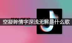 抖音空凝眸情字深浅无解春欲晚梨花谢又一年是什么歌