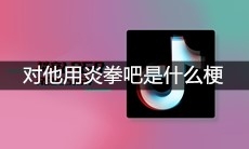 对他用炎拳吧是什么梗