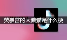 焚寂宫的大懒猫是什么梗