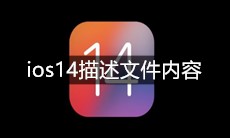 ios14描述文件内容