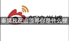 秦昊我在山顶等你是什么梗
