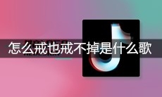 抖音怎么戒也戒不掉你的身上那些味道是什么歌