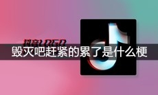 抖音毁灭吧赶紧的累了是什么梗