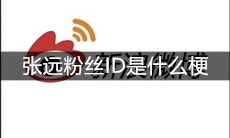 张远粉丝ID是什么梗