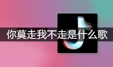 抖音你莫走我不走是什么歌