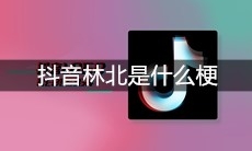 抖音林北是什么梗