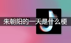 朱朝阳的一天是什么梗