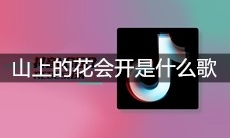 抖音山上的花会开天上的鸟儿来是什么歌