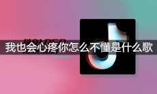 抖音我也会心疼你怎么不懂是什么歌