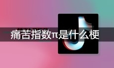 痛苦指数π是什么梗