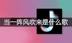 抖音当一阵风吹来风筝飞上天空是什么歌