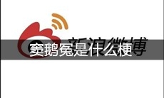 窦鹅冤是什么梗