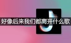 抖音好像后来我们都离开什么歌