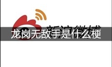 龙岗无敌手是什么梗