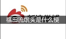 福田流氓头是什么梗