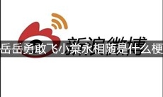 岳岳勇敢飞小棠永相随是什么梗