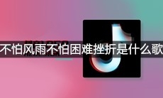 抖音不怕风雨不怕困难挫折是什么歌