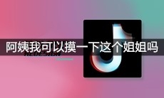 抖音阿姨我可以摸一下这个姐姐吗是什么梗