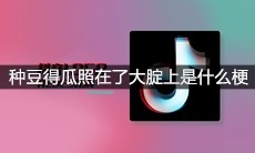 抖音种豆得瓜照在了大腚上是什么梗